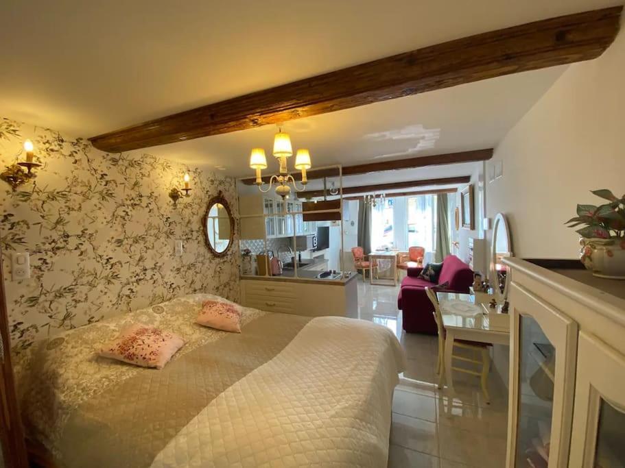 Ravissant Shabby Chic Au Centre De Metz Apartment ภายนอก รูปภาพ